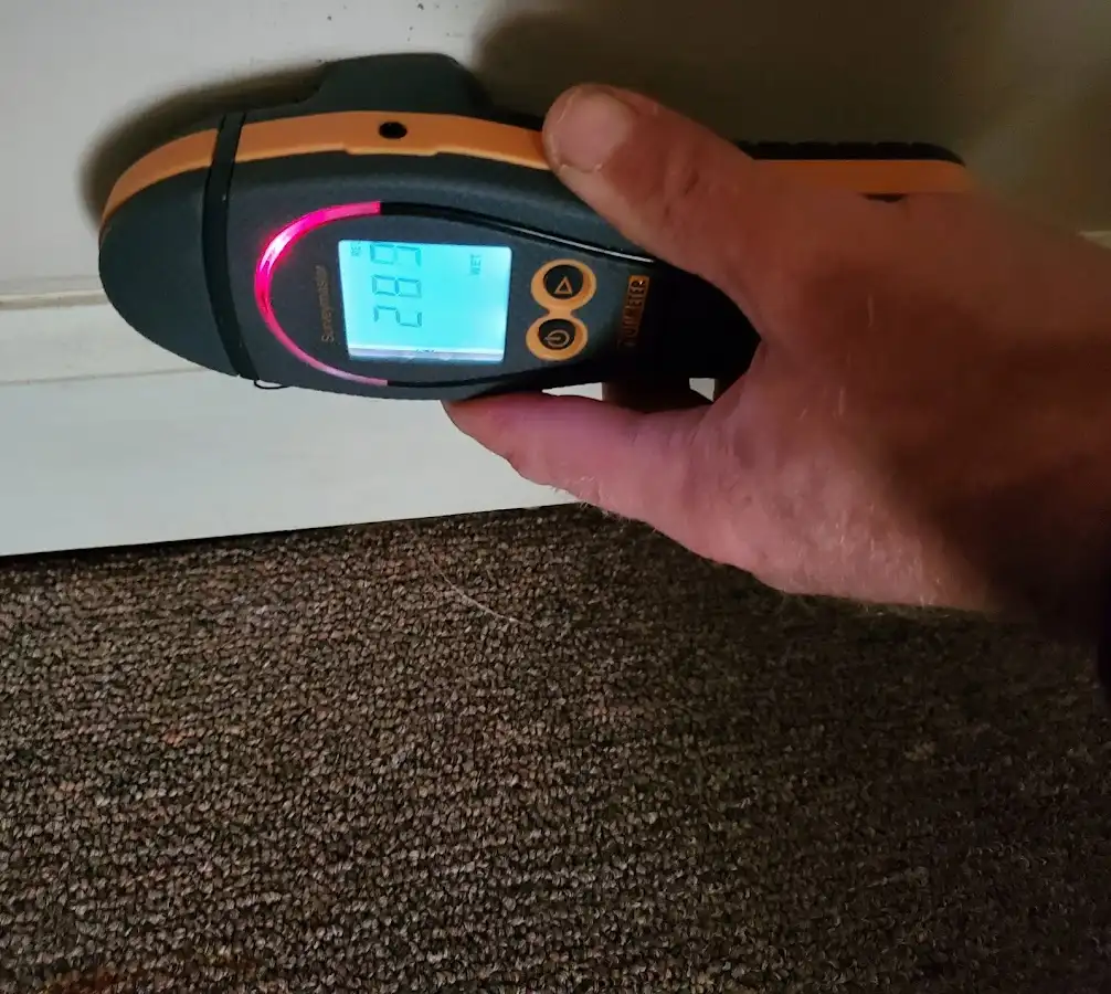 Moisture detection at baseboard during Mold Inspection & Testing in Temple